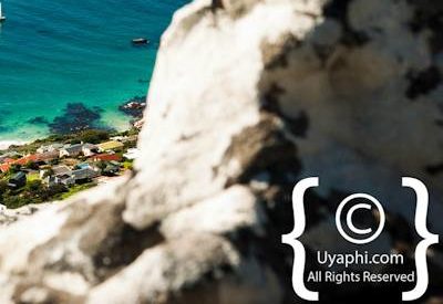 Boulders Beach Penguins