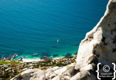 African penguins on Boulders Beach Simon's Town Cape Town False Bay