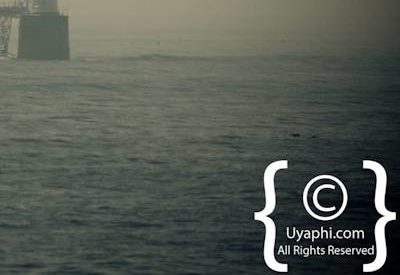 Boulders Beach Penguins