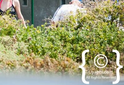 Boulders Beach Cape Town