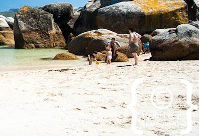 Boulders Beach Cape Town