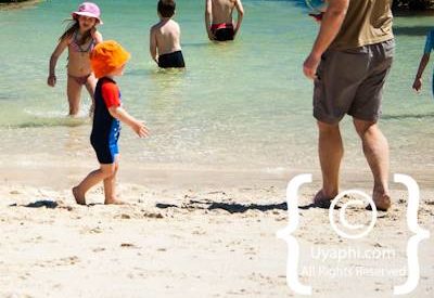 Boulders Beach Cape Town