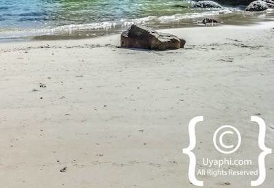 Boulders Beach Cape Town
