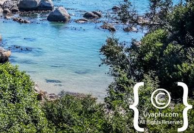 Boulders Beach Cape Town