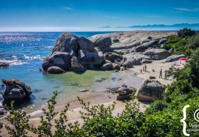 Visitors on boardwalk watching African penguins Boulders Beach Simon's Town Cape Town