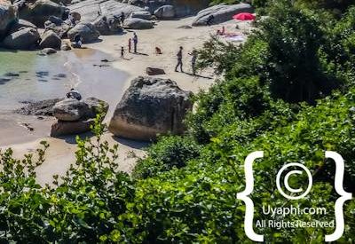 Boulders Beach Cape Town