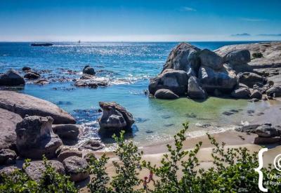 Visitors on boardwalk watching African penguins Boulders Beach Simon's Town Cape Town