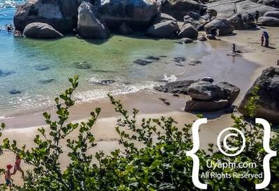 Boulders Beach Cape Town