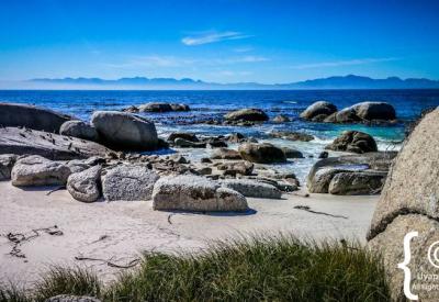 Boulders Beach Cape Town family attraction African penguins Simon's Town South Africa