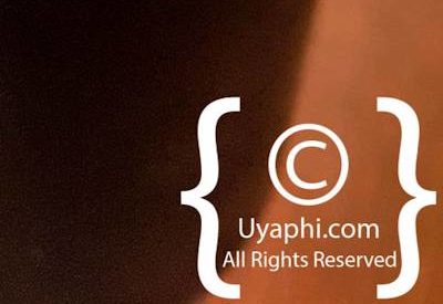 Buitenverwachting Wine Estate