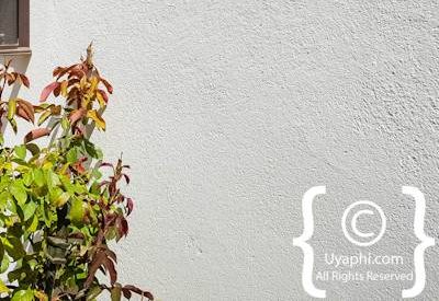 Buitenverwachting Wine Estate