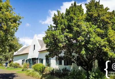 Buitenverwachting Coffee BloC café light lunches Constantia Cape Town South Africa
