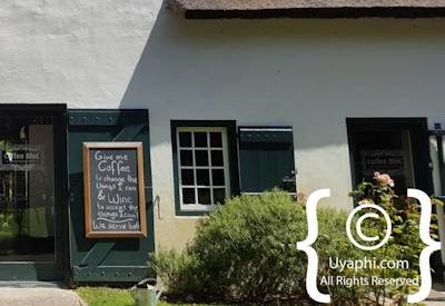 Buitenverwachting Wine Estate