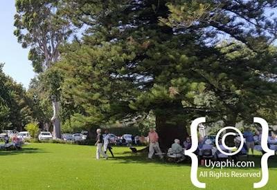 Buitenverwachting Wine Estate