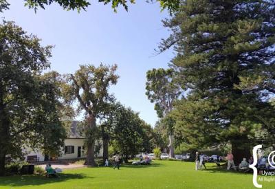 Buitenverwachting Cape Dutch historic estate buildings and grounds Constantia Cape Town