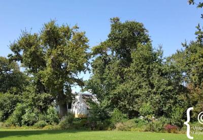 Buitenverwachting Cape Dutch historic estate buildings and grounds Constantia Cape Town