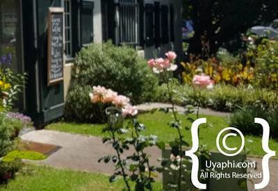 Buitenverwachting Wine Estate