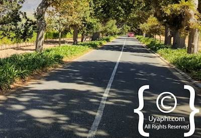 Buitenverwachting Wine Estate