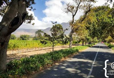 Buitenverwachting Wine Estate Constantia wine tasting Cape Town South Africa