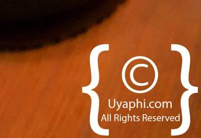 Buitenverwachting Wine Estate