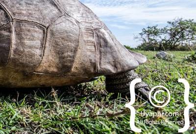 Cape Point Nature Reserve