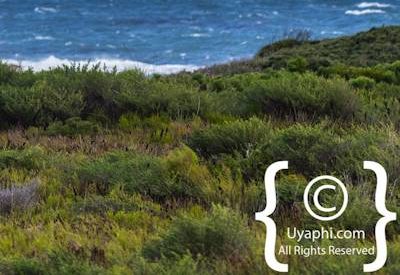 Cape Point South Africa