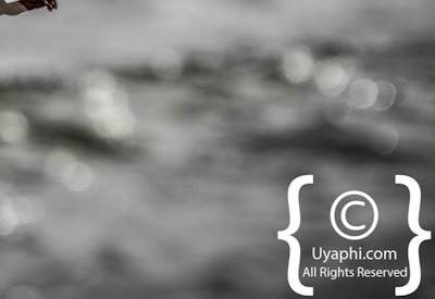 Cape Point South Africa