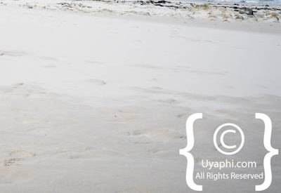 Cape Point South Africa