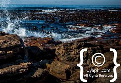 Cape Point Nature Reserve