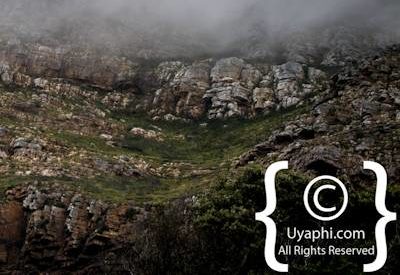 Cape Point South Africa