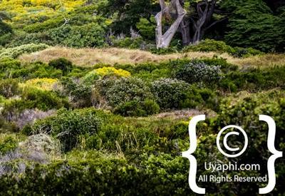 Cape Point South Africa