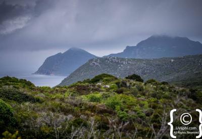 Secluded beach and tidal pools Cape Point Nature Reserve Cape Peninsula Cape Town