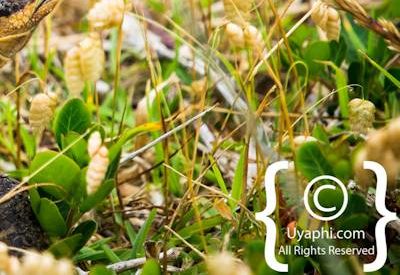 Cape Point South Africa