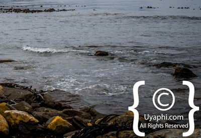 Cape Point South Africa