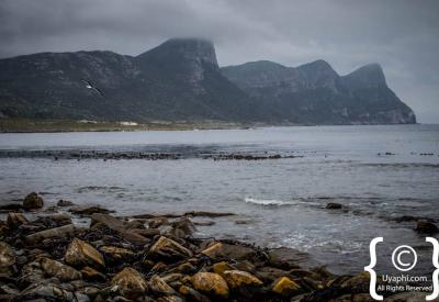 Hiking trails with ocean views Cape Point Nature Reserve Cape Peninsula Cape Town