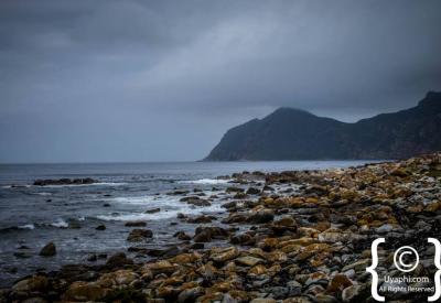 Hiking trails with ocean views Cape Point Nature Reserve Cape Peninsula Cape Town