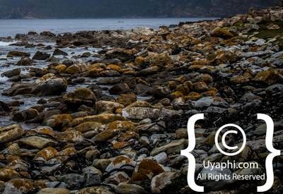 Cape Point South Africa