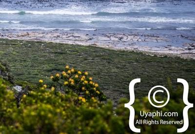 Cape Point South Africa