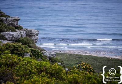 Cape of Good Hope signpost Cape Point Nature Reserve Cape Peninsula South Africa
