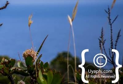 Cape Point South Africa