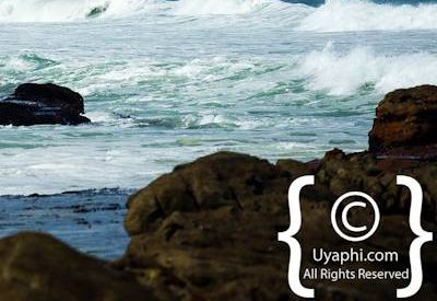 Cape Point Nature Reserve