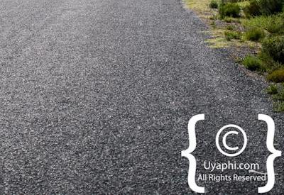 Cape Point Nature Reserve