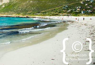 Cape Town Beaches
