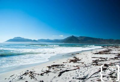 Surfers at Muizenberg beach False Bay Cape Town beginner surf spot South Africa