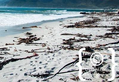 Cape Town Beaches