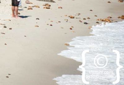 Beaches In Cape Town