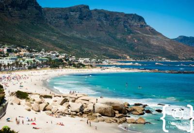 Simon's Town beach False Bay Cape Peninsula Cape Town South Africa