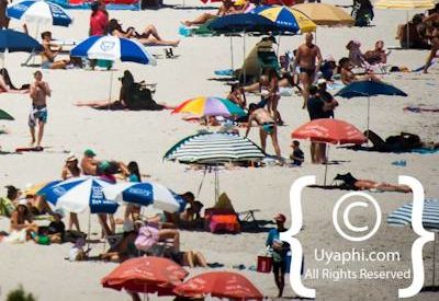 Beaches In Cape Town