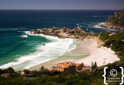 Camps Bay Blue Flag beach palm trees Twelve Apostles mountain backdrop Cape Town