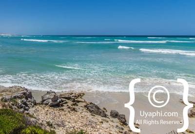 Beaches In Cape Town